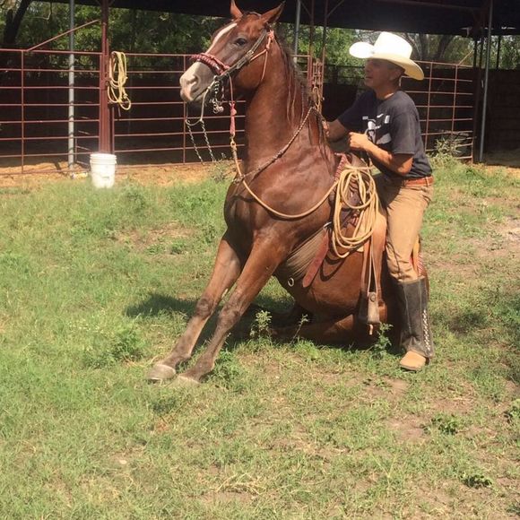 Meet your Posher, Julio - Picture 1 of 1